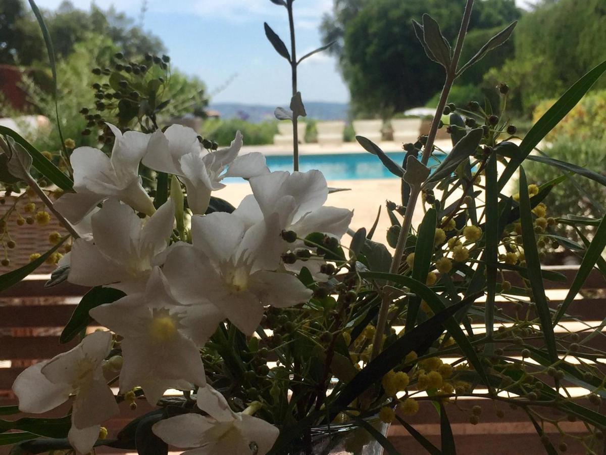 Lovely "Provence" Villa With Sea View, Private Heated Pool, Airco And Beautiful Garden Grimaud Bagian luar foto