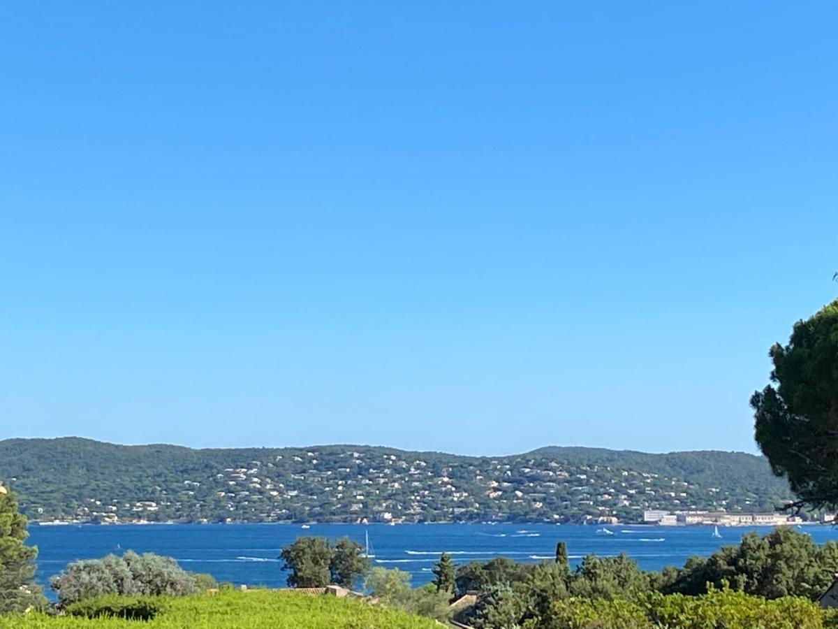 Lovely "Provence" Villa With Sea View, Private Heated Pool, Airco And Beautiful Garden Grimaud Bagian luar foto